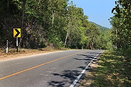 路,方式,樹(shù)