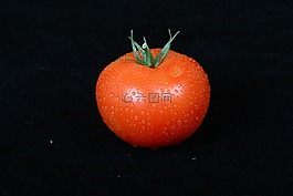 紅色,番茄,蔬菜