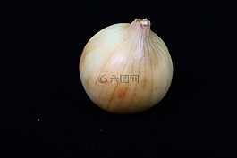 洋蔥,蔬菜,食品