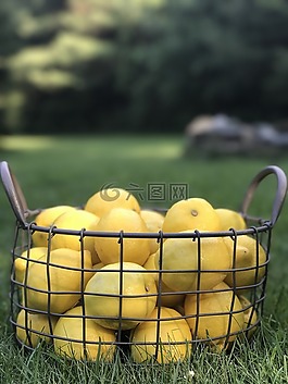 檸檬,黃色,新鮮