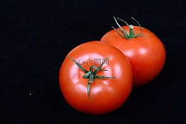 番茄,蔬菜,紅色