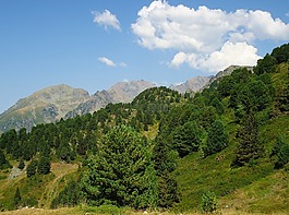 山,chamrousse,夏季