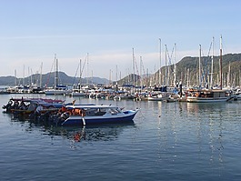 海,船,旅游
