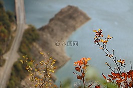 水,背景,自然