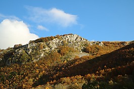 秋天,山,秋