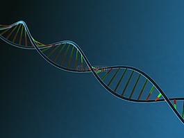 dna,身體,鋼絞線