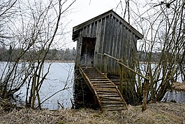 棚屋,小木屋,寂寞
