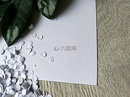 紙,紋理,宏