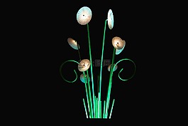 夜,光,花