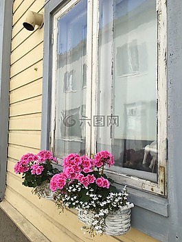 窗口,鮮花,首頁