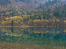 中國,湖,景觀