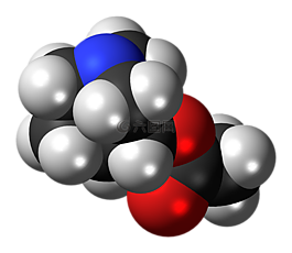 aceclidine,分子,結(jié)構(gòu)