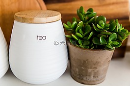 植物,玉器廠,廚房