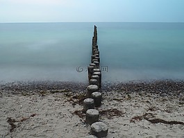 海灘,海,木