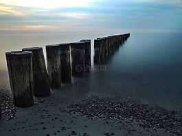 海灘,海,木