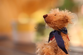 熊,玩具熊,泰迪