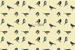 鳥,山雀,平鋪
