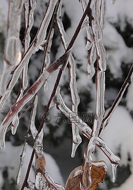 性質(zhì),冬季,雪