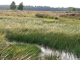 drenthe,水,性质