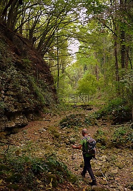游覽,林,val borago