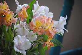 鮮花,橙色,白