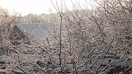 冬季,村,雪