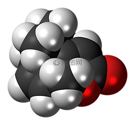 actinidiolide,信息素,分子