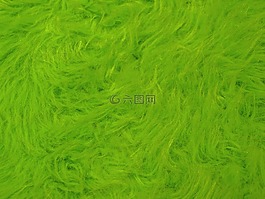 毛皮,軟,可愛