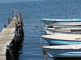 海,船,釣魚(yú)