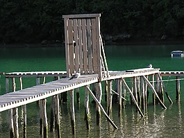 門,碼頭,端口