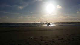騎馬,海灘,沙灘