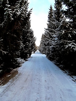 道路,胡同,木