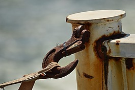 鉤,生疏,海洋