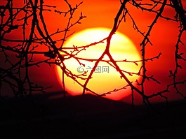 太陽,西,天空