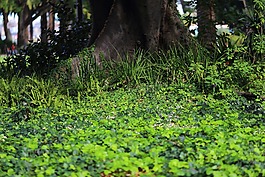 珀斯,最高,法院