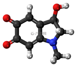adrenochrome,分子,模型