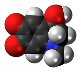 adrenochrome,分子,模型