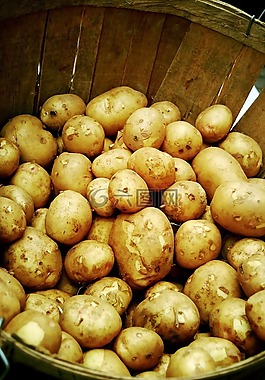 土豆,蔬菜,馬鈴薯