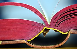本書,老,老書