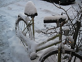 自行車,eingschneit,老