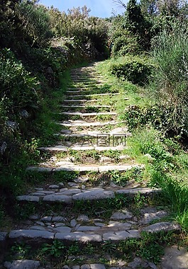 規(guī)模,石頭,草