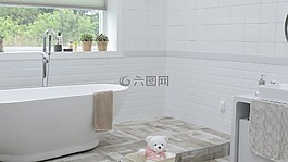 浴室,窗口,場地