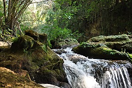 級聯(lián),水,性質(zhì)