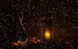 燈籠,夜,森林