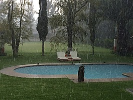 雨,水,池
