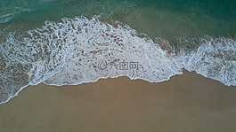 海灘,泡沫,雄蜂