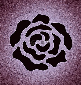 背景图像,玫瑰,花