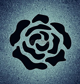 背景图像,玫瑰,花