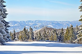 雪,冬天,木材