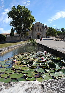 修道院,阿比,silvacane